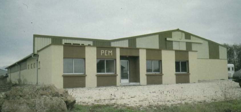 pem 1981
